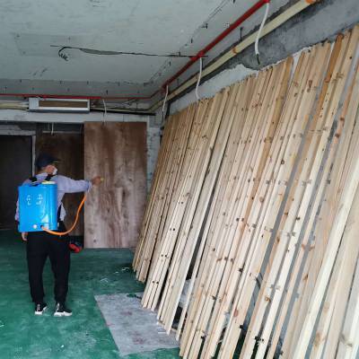 建筑工地专业白蚁防治哪家便宜？百辉有害生物防治为您严守地基防线